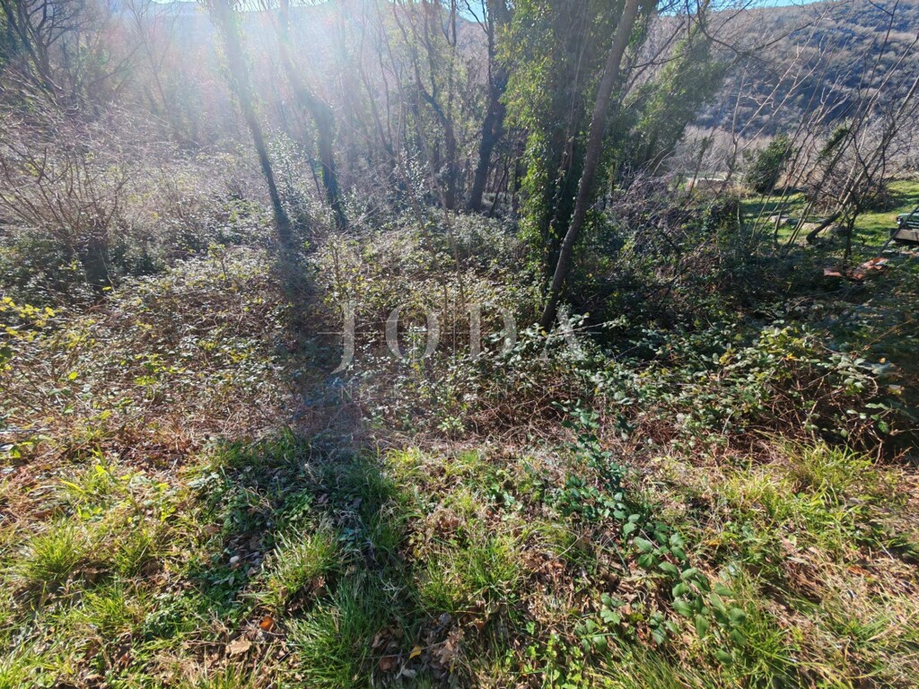 Image 6230206 - 2