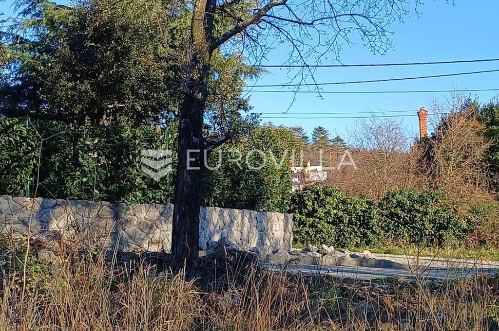 Image 6230215 - 2
