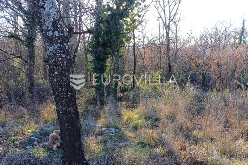 Thumbnail 6230215 - 3
