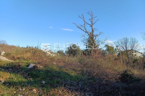 Thumbnail 6230215 - 1