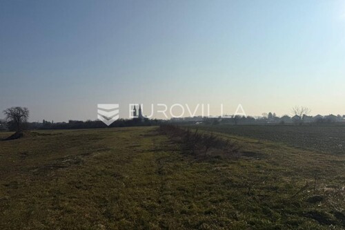 Thumbnail 6230222 - 2