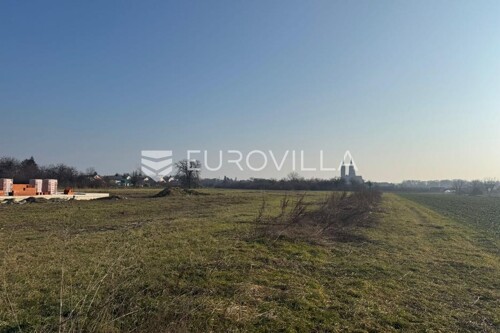 Thumbnail 6230222 - 3