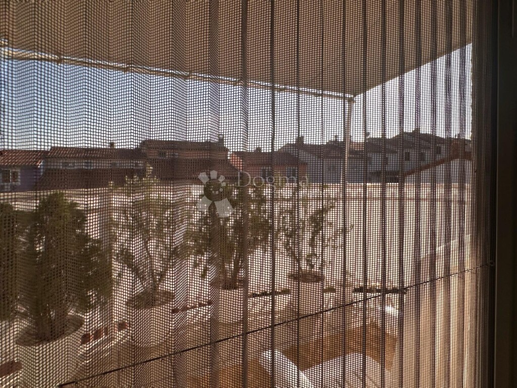 Image 6230252 - 23