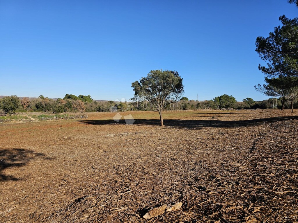 Image 6230253 - 1