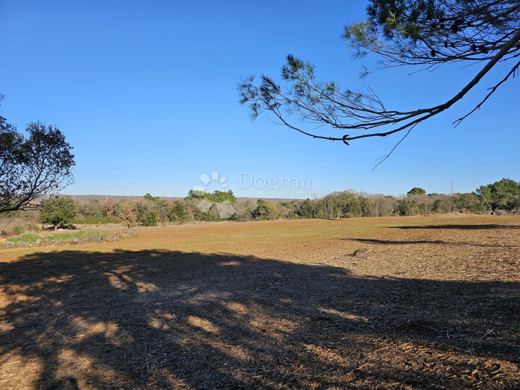 Image 6230253 - 2
