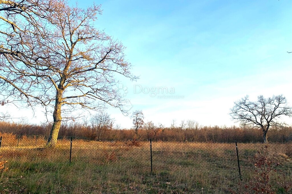 Image 6230256 - 2