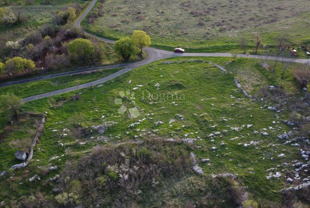 Image 6230261 - 1