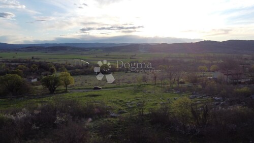 Thumbnail 6230261 - 5