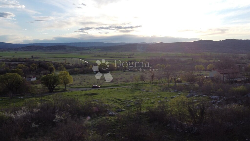 Image 6230261 - 5