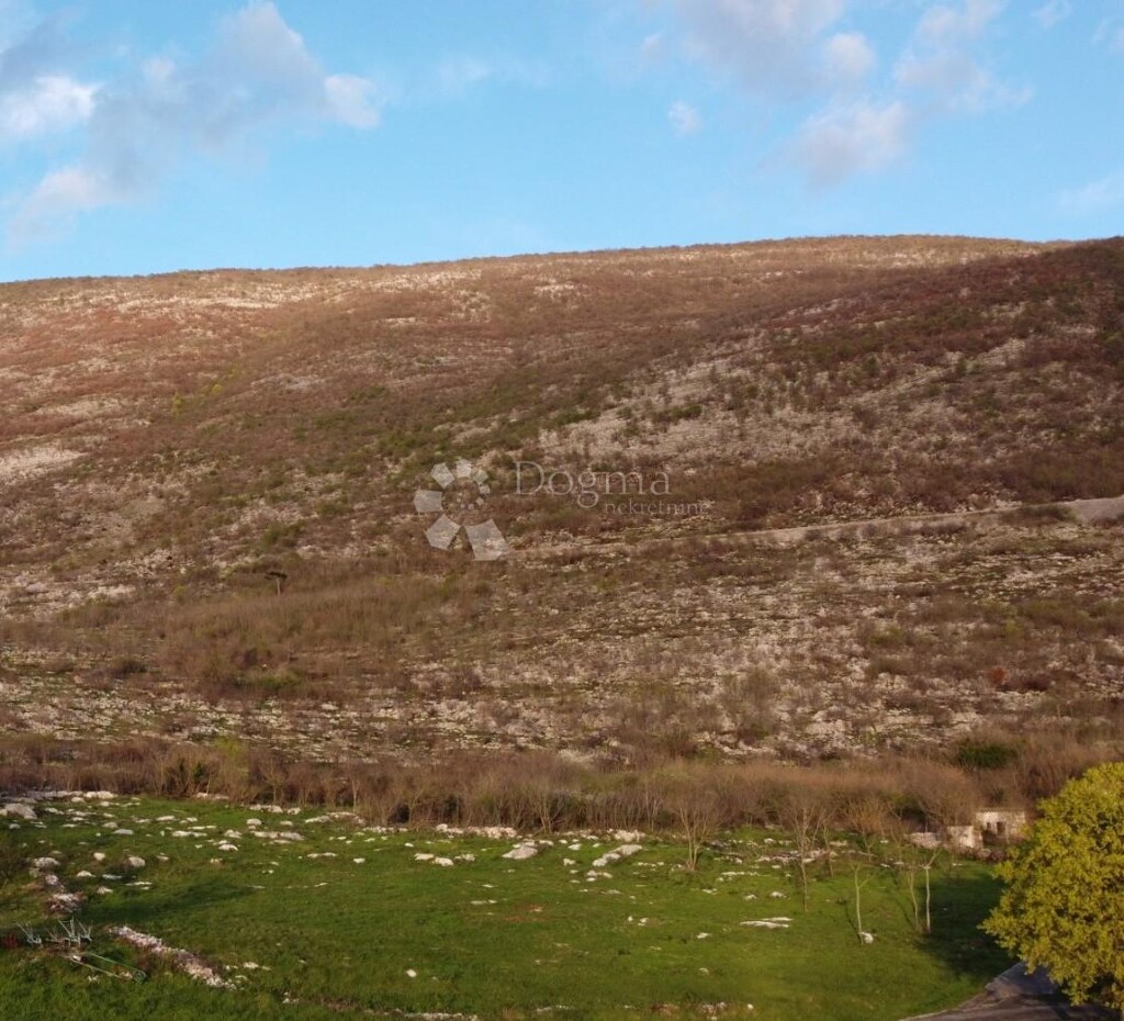 Image 6230264 - 1