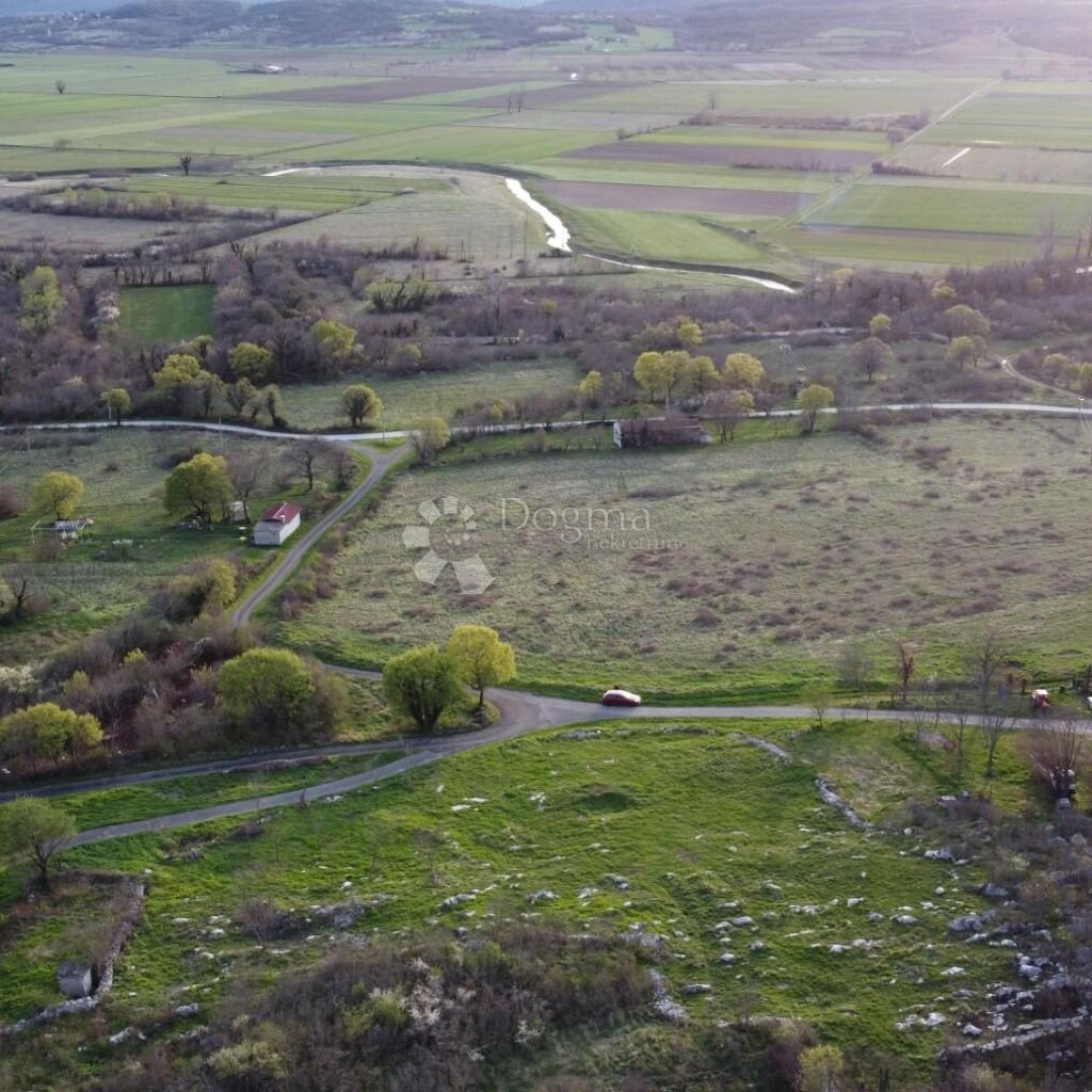 Image 6230264 - 3