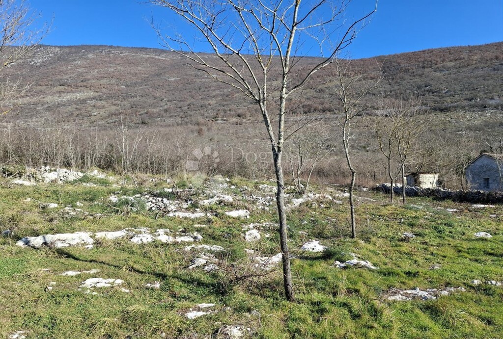 Image 6230264 - 7