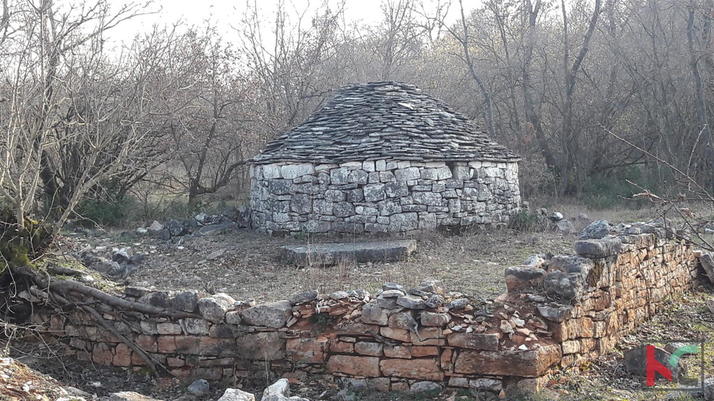 Image 6230275 - 1