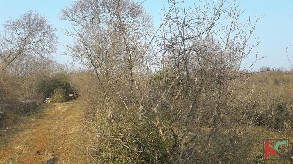 Image 6230275 - 3
