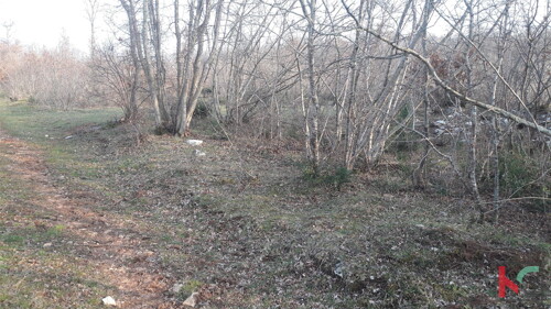 Thumbnail 6230275 - 5