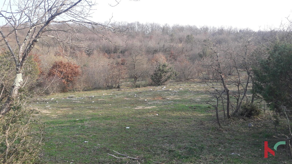 Image 6230275 - 2