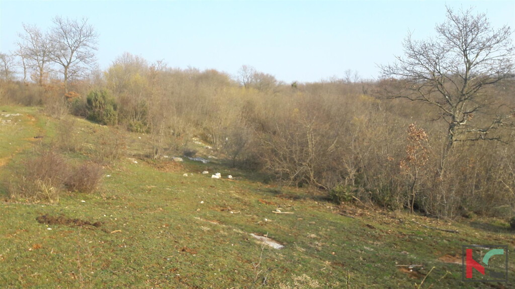 Image 6230275 - 4