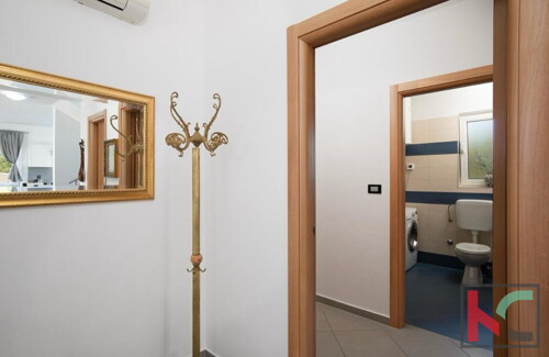 Thumbnail 6230277 - 7