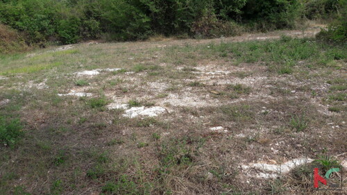 Thumbnail 6230278 - 11