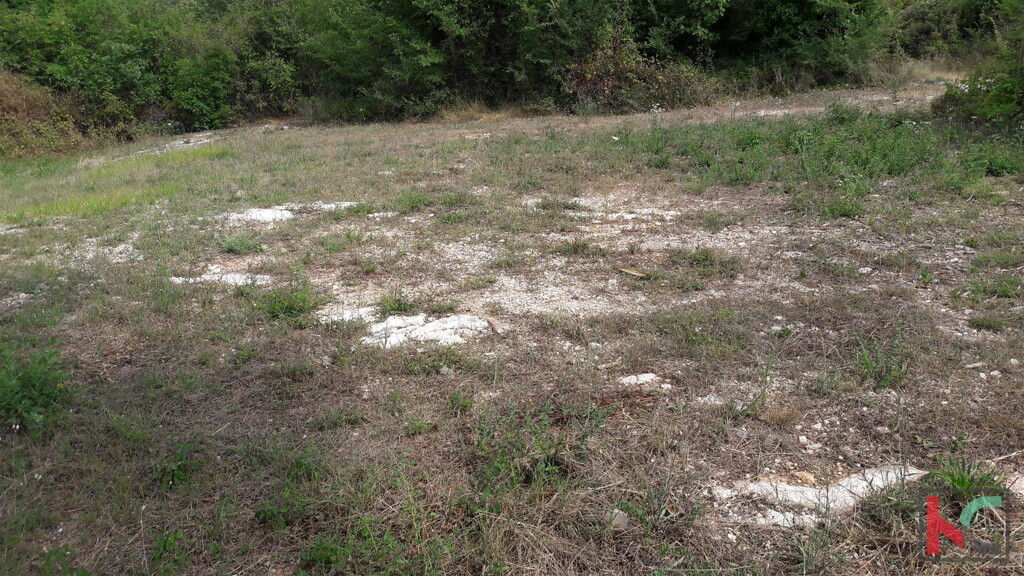 Image 6230278 - 11