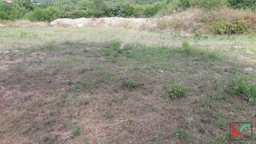 Thumbnail 6230278 - 12