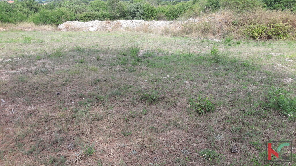 Image 6230278 - 12