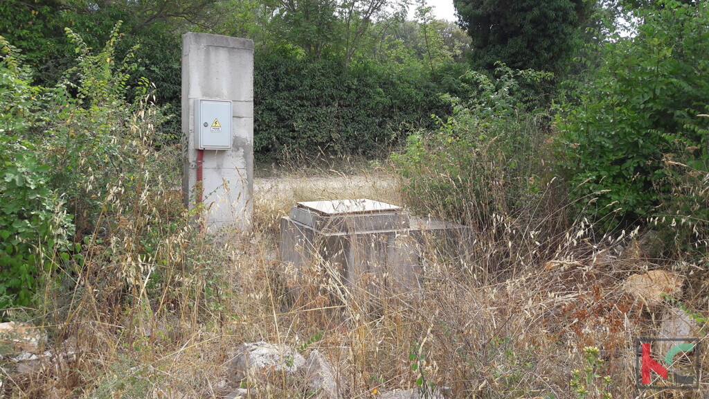 Image 6230278 - 14