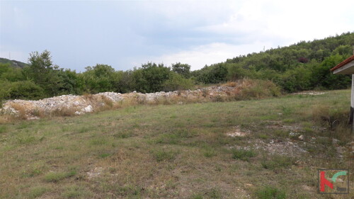 Thumbnail 6230278 - 5