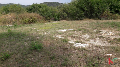 Thumbnail 6230278 - 13