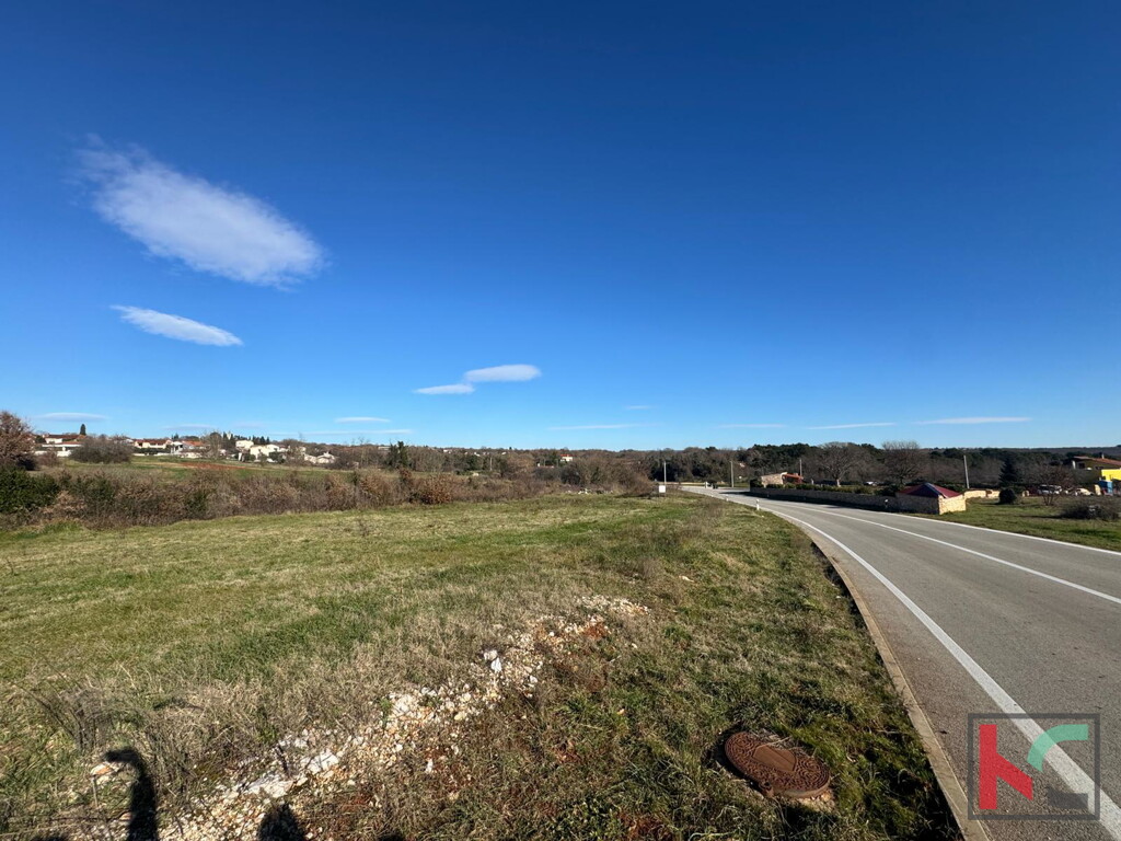 Image 6230280 - 3