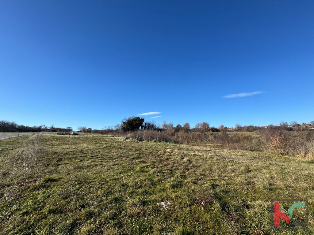 Image 6230281 - 1