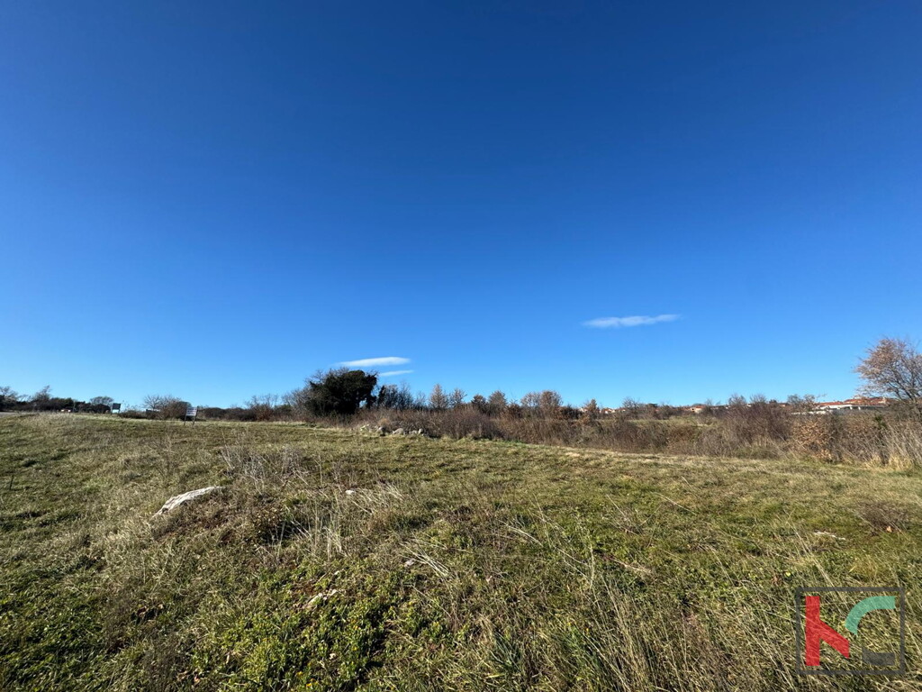 Image 6230281 - 4