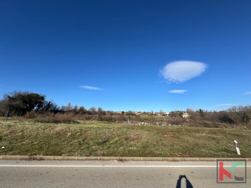 Thumbnail 6230281 - 2