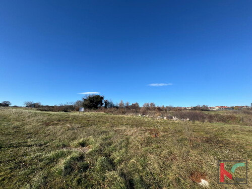 Thumbnail 6230281 - 3