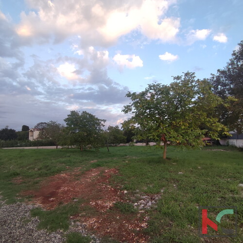 Thumbnail 6230283 - 1