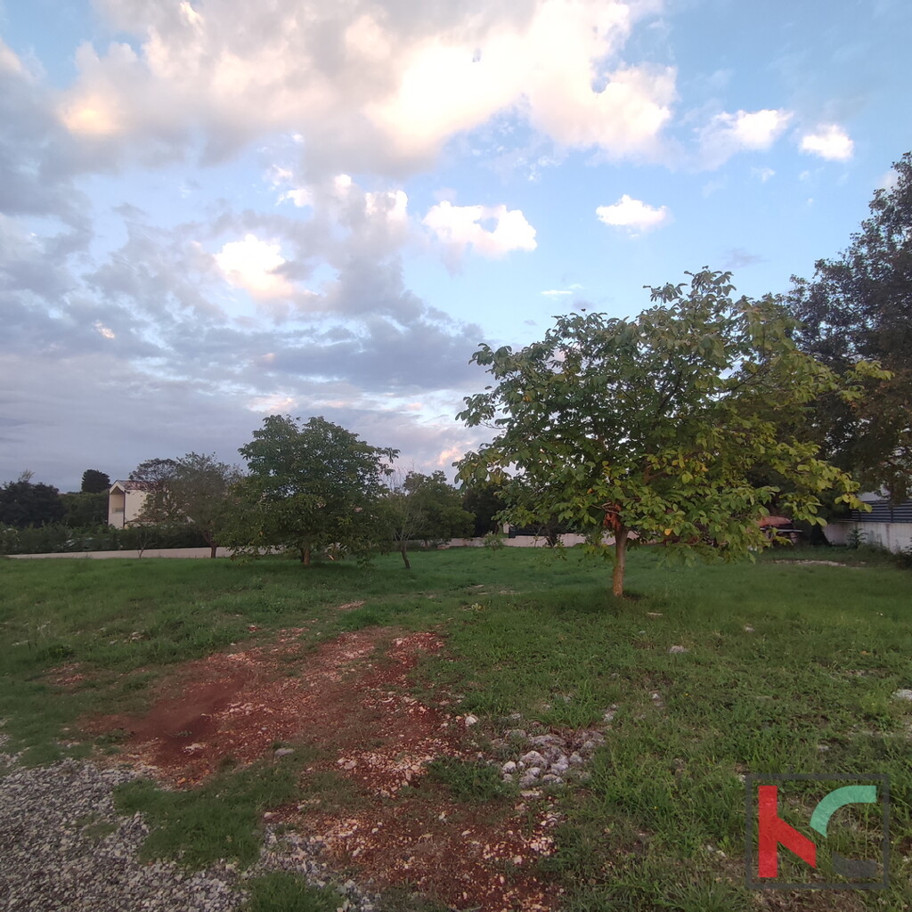 Image 6230283 - 1