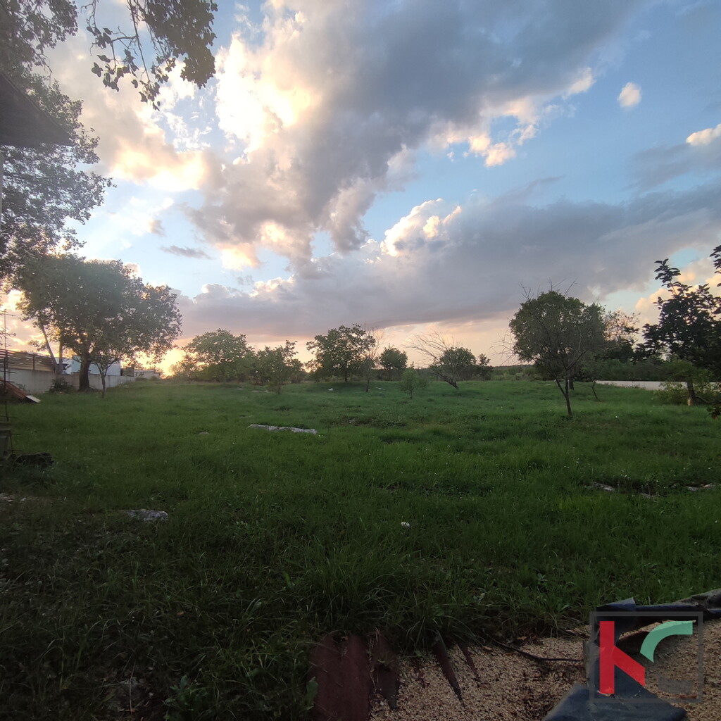 Image 6230283 - 2