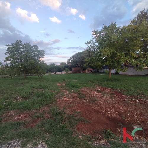 Thumbnail 6230283 - 3