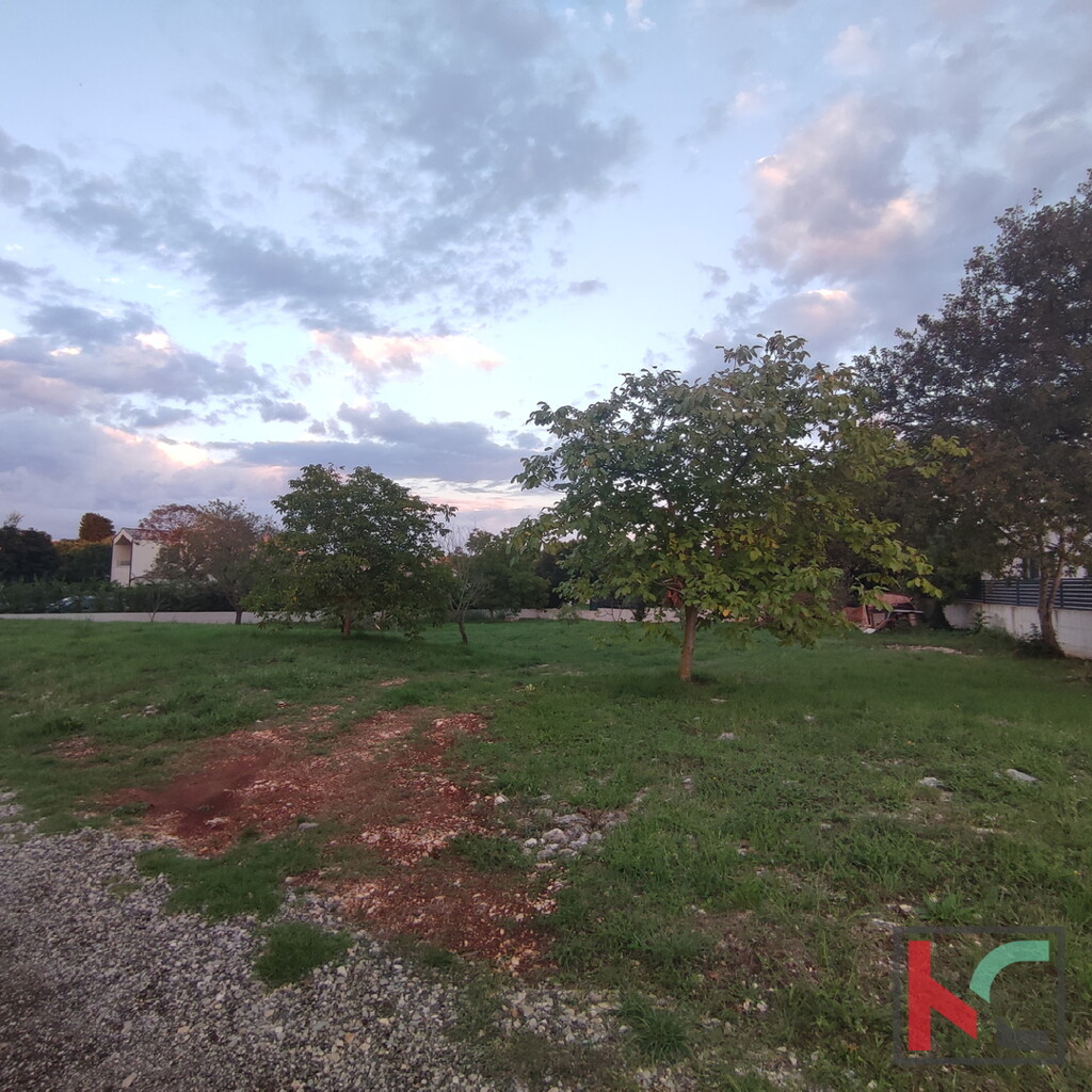Image 6230283 - 5