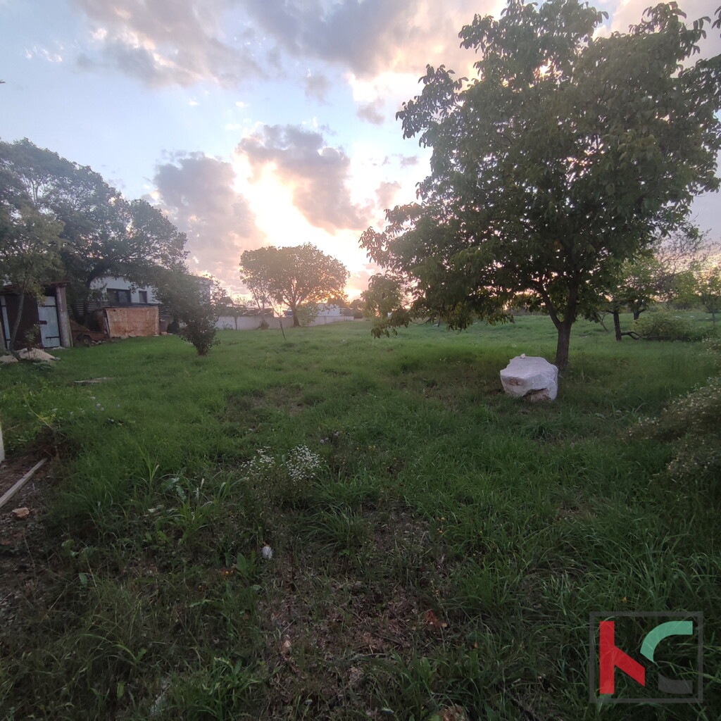 Image 6230283 - 4