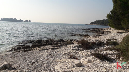 Thumbnail 6230290 - 1