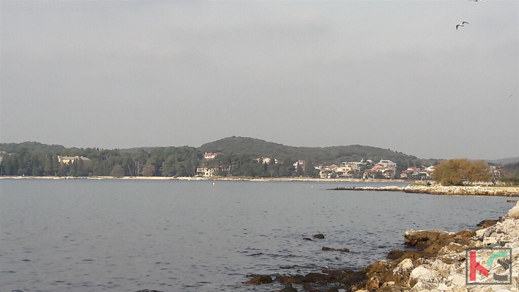 Image 6230290 - 3