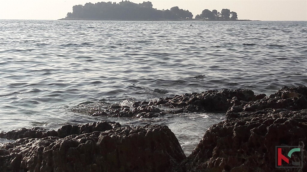 Image 6230290 - 2