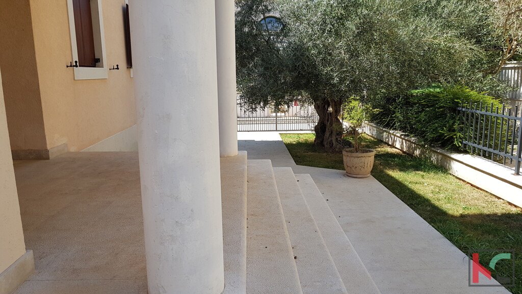 Image 6230299 - 26