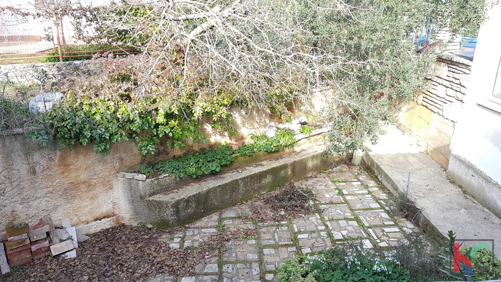 Image 6230301 - 17