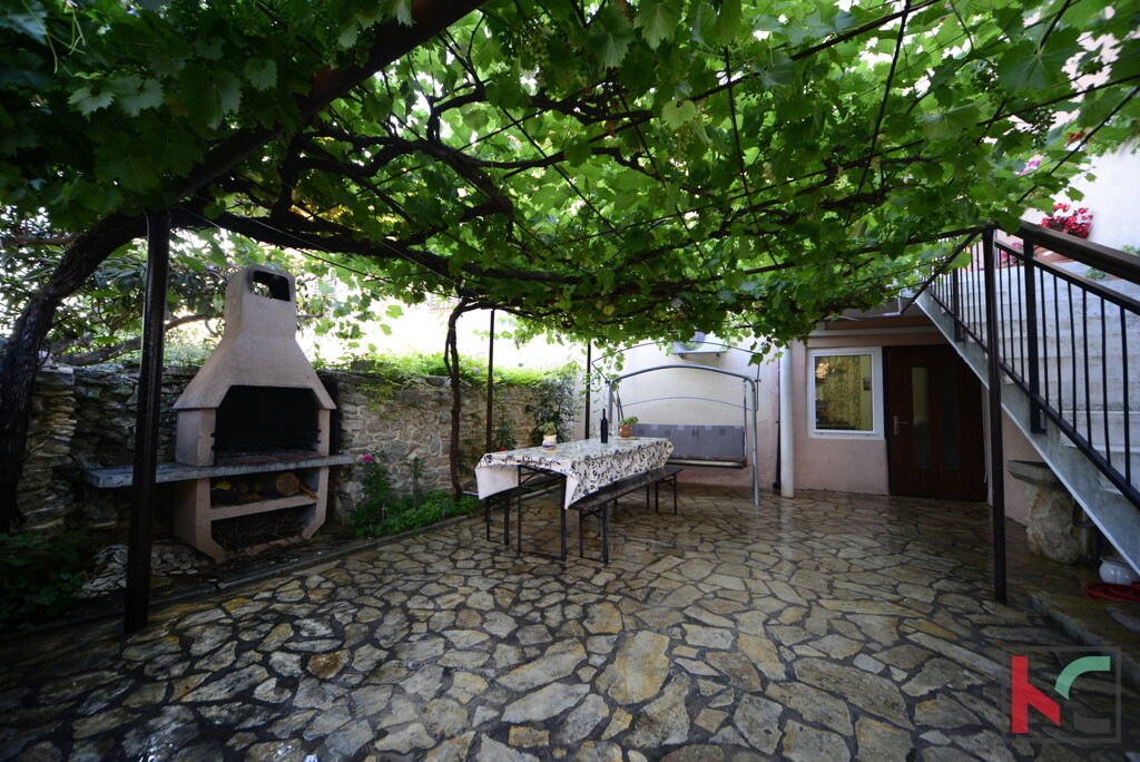 Image 6230302 - 3