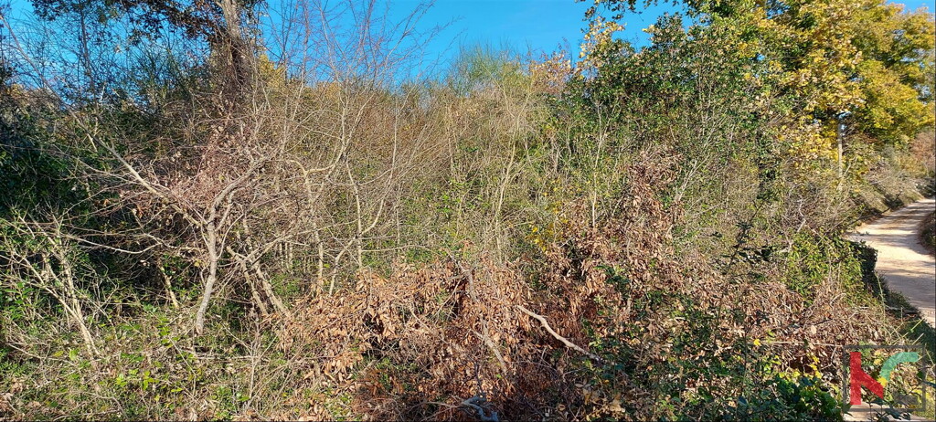 Image 6230304 - 3