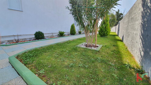 Thumbnail 6230305 - 14