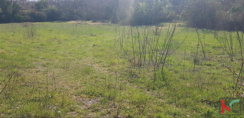 Image 6230306 - 2