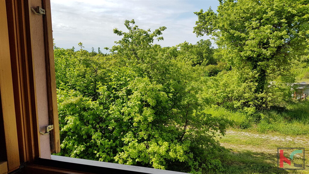 Image 6230307 - 11